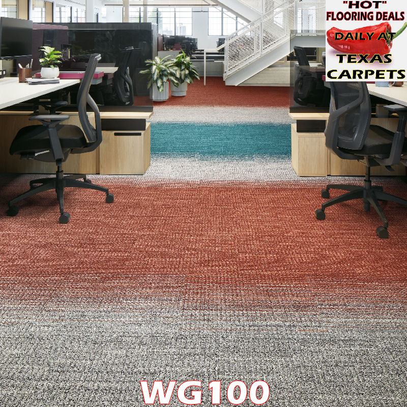 WG100 Interface